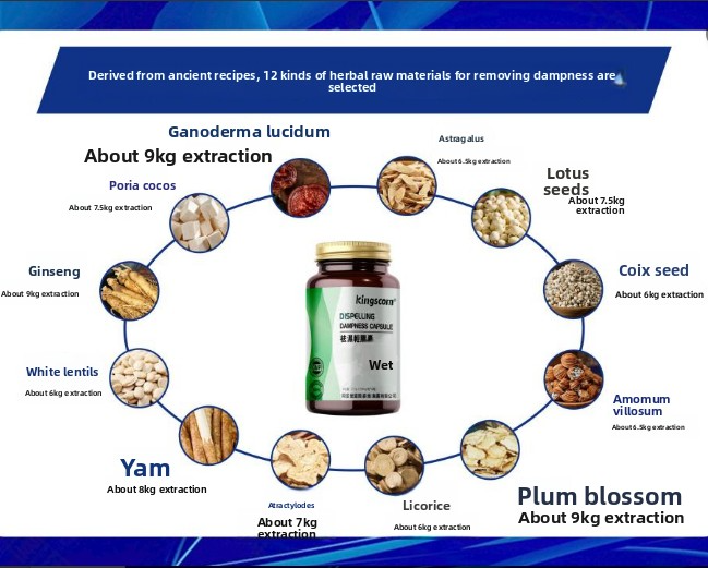 Kingscom dampness removal light capsules